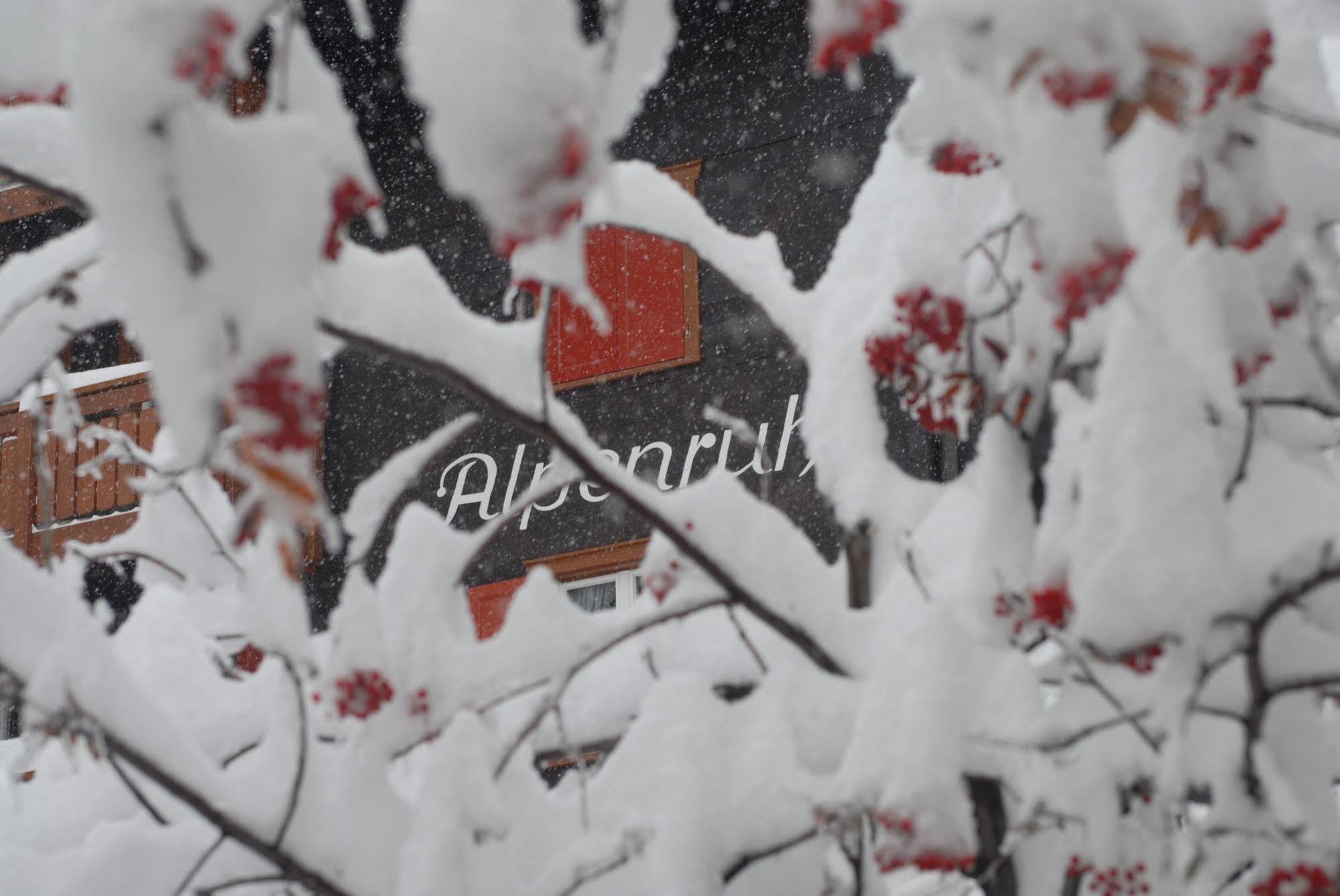 Chalet Alpenruh Зас-Фе Екстер'єр фото